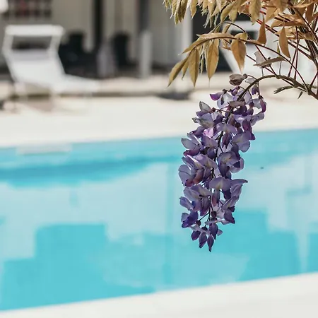 Apartamento Aquavista - Lakeview With Pool Dormelletto